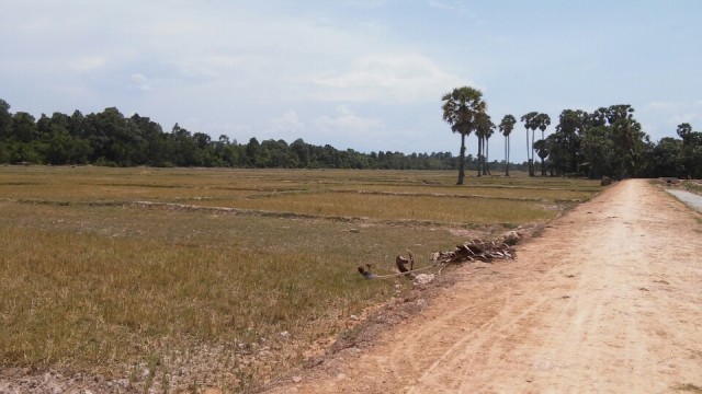 countryside