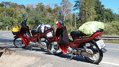 'Onze' Honda's