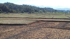 Mae Hong son loop