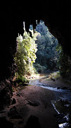 Mae Hong son loop