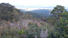 Mae Hong son loop