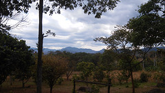 uitzicht vanuit onze bungalow