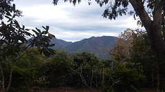 uitzicht vanuit onze bungalow