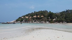 Koh Tao