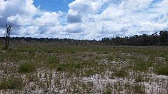 Near Chi Phat
