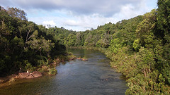 Kardamom mountains