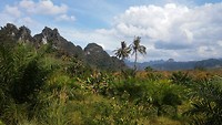 Kao Sok National Park