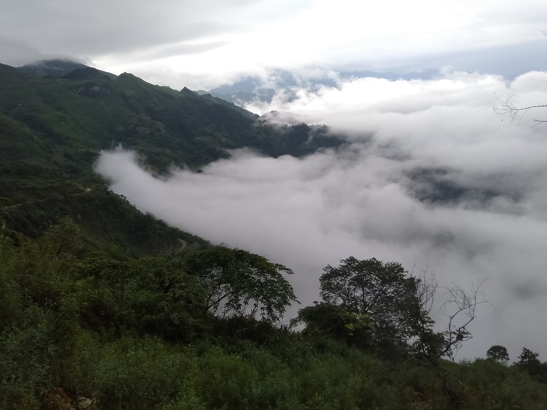 IMG20190721090850