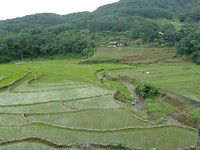 IMG20190721080716