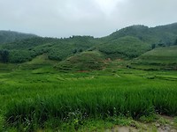IMG20190724124435