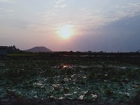 Sunset picknick