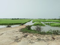 Siem Reap