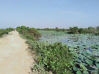 Siem Reap