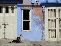 Jodhpur