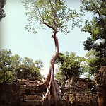 Ta Prohm