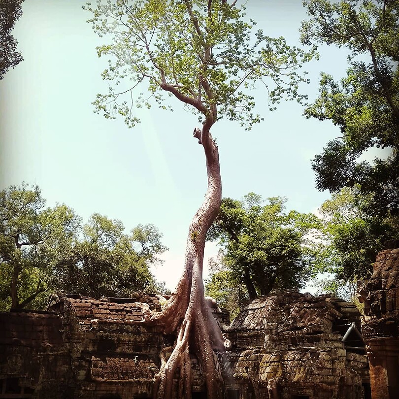 Ta Prohm