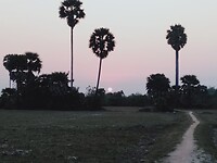 Zonsopkomst