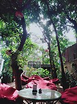 Peace cafe