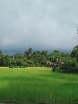 In de buurt van Angkor Wat