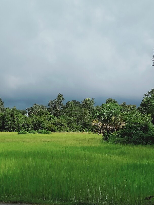 In de buurt van Angkor Wat