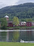 IMG_1381