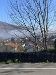 IMG_3951