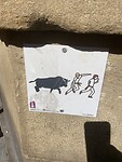 IMG_3999