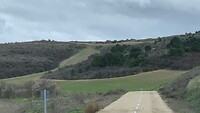 IMG_4104