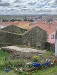 IMG_4173