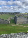 IMG_4169