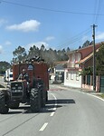 IMG_4256