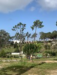 IMG_4262