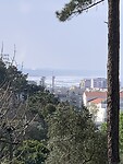 IMG_4271
