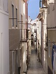 IMG_4417