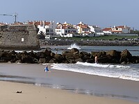 IMG_4453