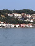 IMG_4441
