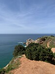 IMG_4431