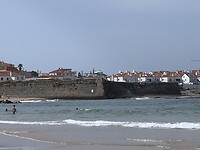 IMG_4448