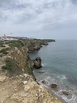 IMG_4461