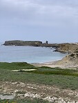 IMG_4460