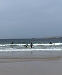IMG_4451