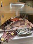 IMG_4487