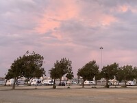 IMG_4529