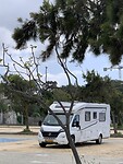 IMG_4517