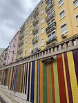 IMG_4546