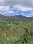 IMG_4643