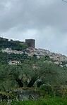 IMG_4652