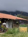 IMG_4646