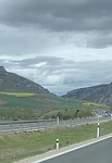 IMG_4787