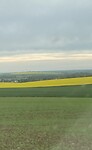 IMG_6192